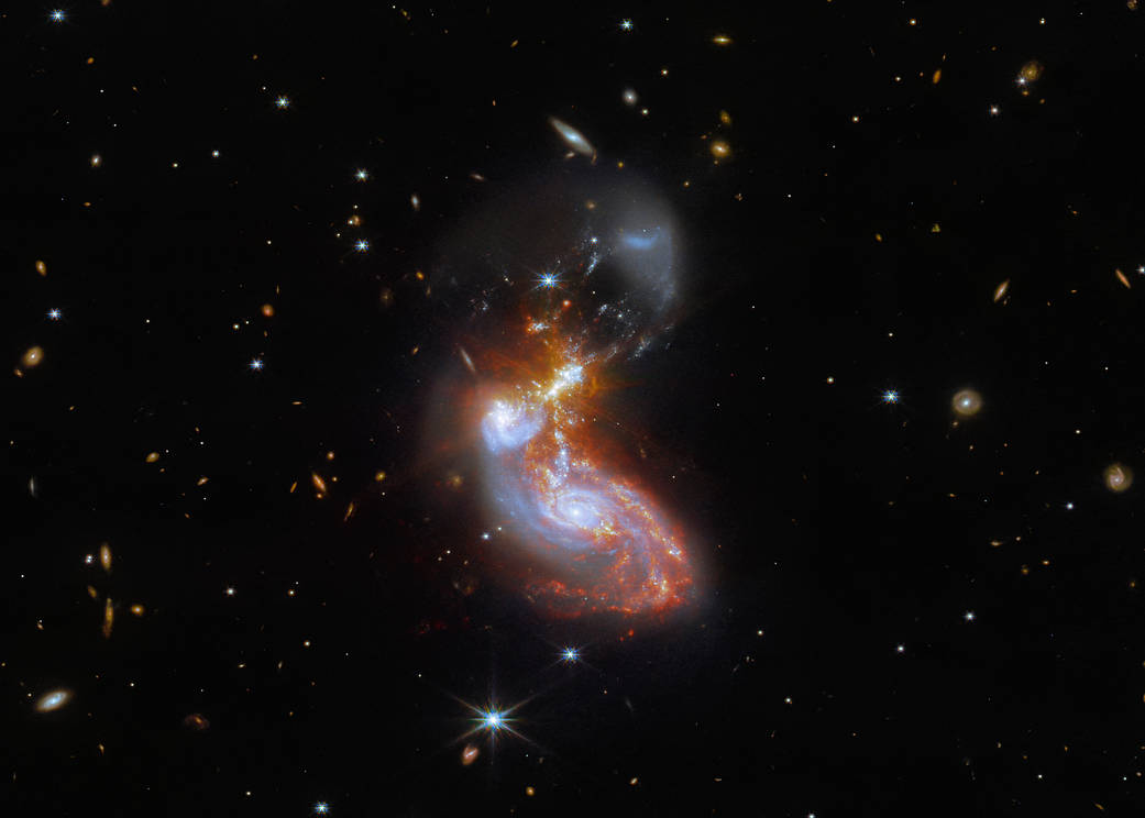 flask image
