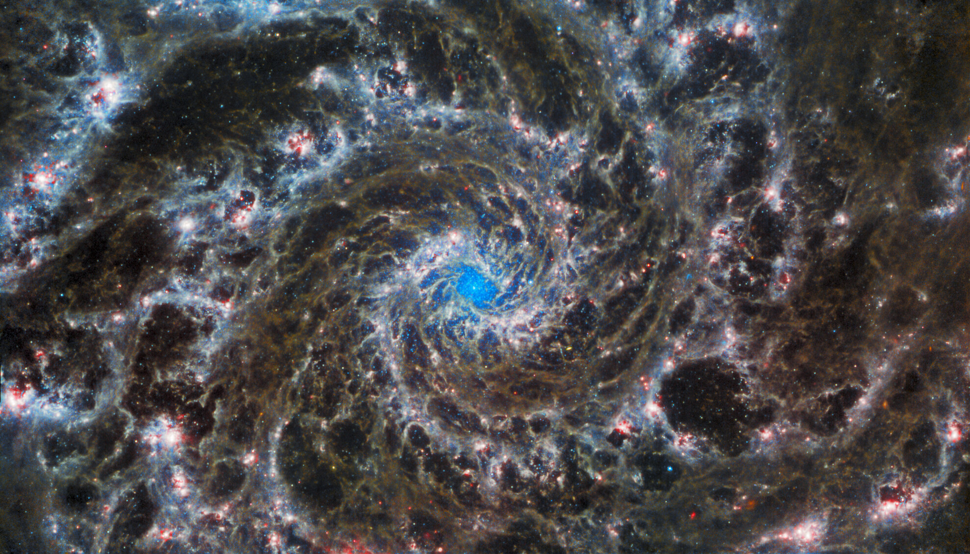 lander image